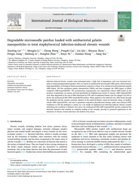 2022 動物研究，重組膠原微針，用于慢性傷口