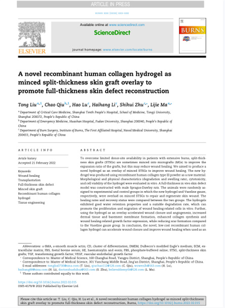 2022 動物研究，重組膠原用于微粒皮移植覆蓋