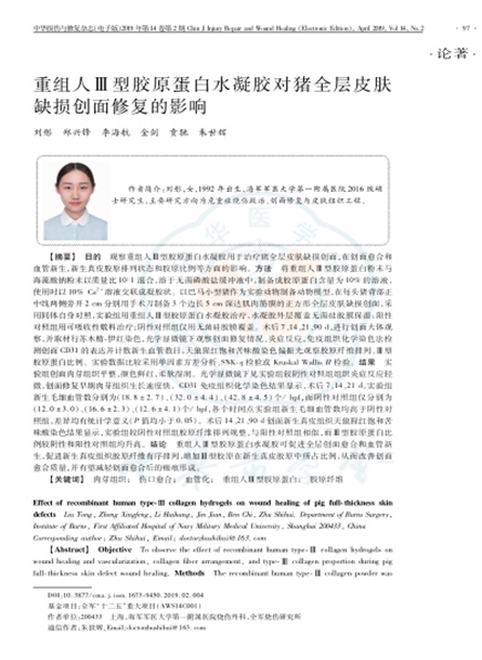 2019 動物研究，重組人Ⅲ型膠原蛋白水凝膠對豬全層皮膚缺損創(chuàng)面修復(fù)的影響